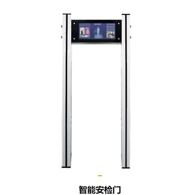 盛视/Maxvision SS800 门禁系统 安检门
